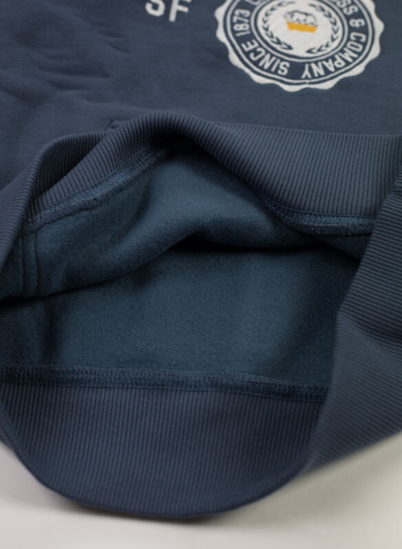 FELPA HOODIE CON LOGO RAGAZZO, C1E INDIGO, medium