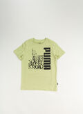 T-SHIRT ESS GRAPHIC, 37 PISTACCHIO, thumb