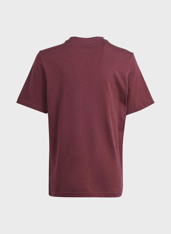 T-SHIRT GFX FOLDED RAGAZZO, BORDO, medium