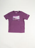 T-SHIRT ALVARDO 8 JUNIOR, HZZ PURPLE, thumb