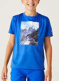 T-SHIRT ALVARDO 8 JUNIOR, 15 ROYAL, thumb