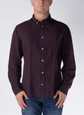 CAMICIA OXFORD, VINEYARD WINE CELESTE, thumb